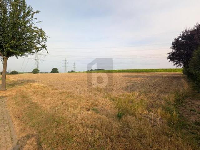 RUHELAGE MIT 2.200 QM & FREIER GESTALTUNG