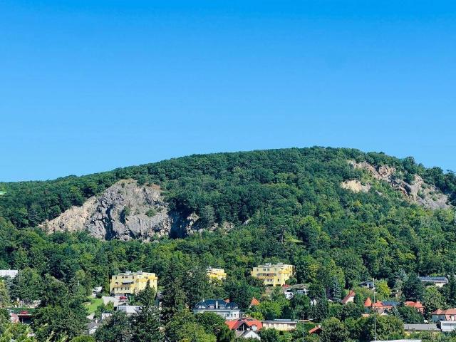 RUHIG. GRÜN. WEITBLICK. + ZWEI Zimmer Gartenwohnung zum Verlieben