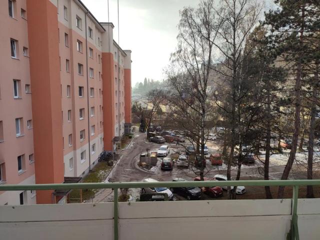 Ruhig, mitten im Grünen und doch in der Stadt!