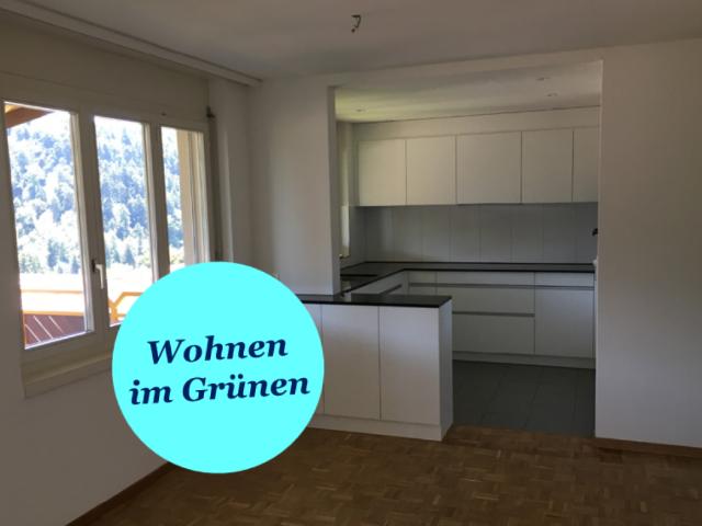 Ruhige 4.5 Zimmerwohnung mit Sicht ins Grüne