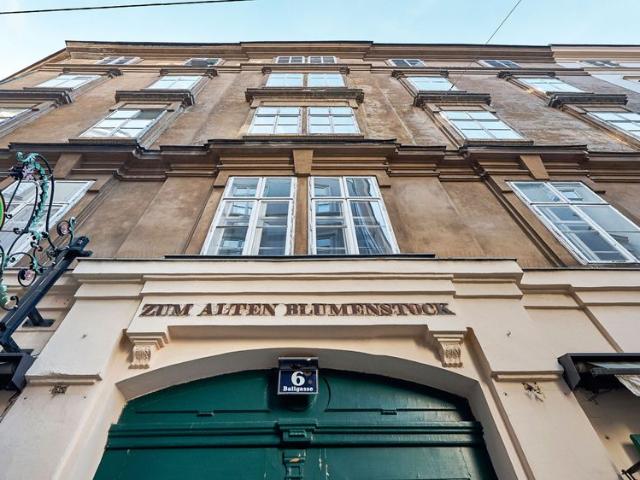 Ruhige Lage in autofreier Gasse! Voll möblierte 3 Zimmer Wohnung im 4. Liftstock!