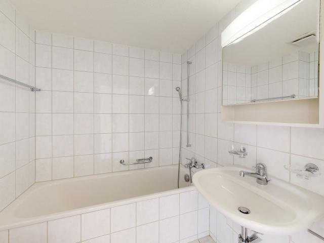 Ruhige Wohnung in Seenähe | dreamo. Ch