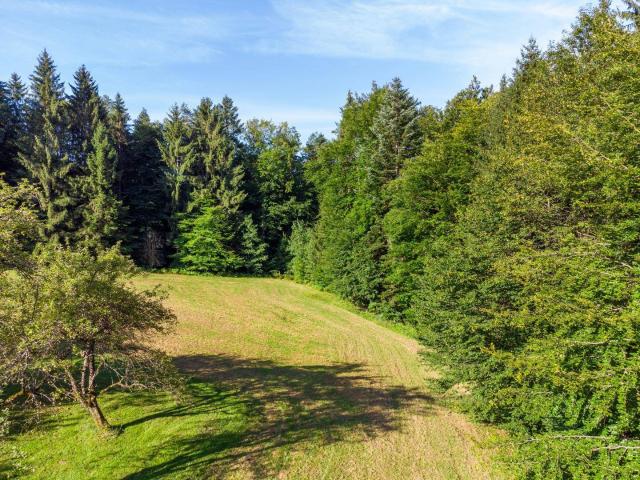 Ruhiges großes Domizil unweit von Graz