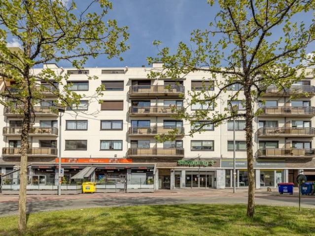 Ruim appartement met 3 slpk en terras in hartje Genk