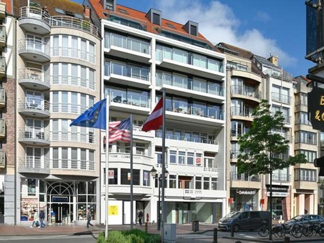 Ruim appartement met terras op centrale ligging [Lippenslaan