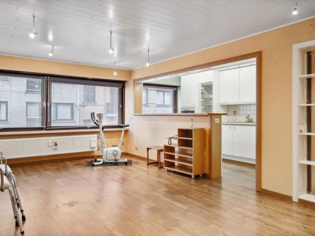 Ruim appartement op wandelafstand van stadscentrum