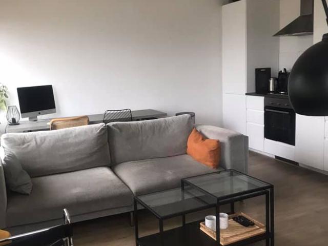 Ruim appartement in Nieuwe Sloten