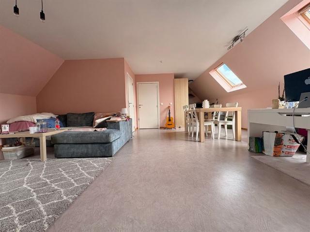 Ruim dakappartement te St Gillis bij Dendermonde