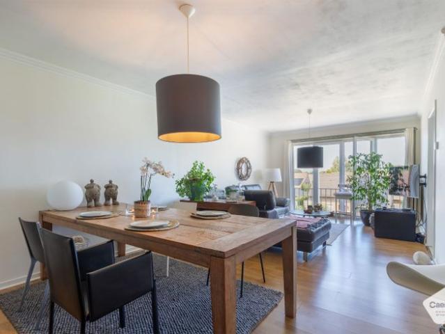 RUIM EN ENERGIEZUINIG APPARTEMENT met 2 SLAAPKAMERS, ZUID.
