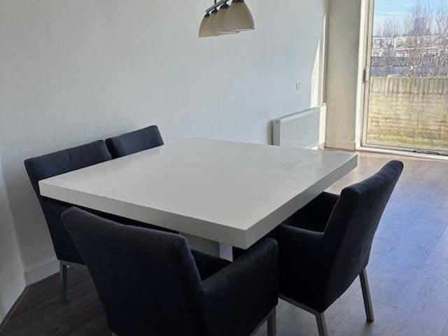 Ruim recent gerenoveerd expat appartement