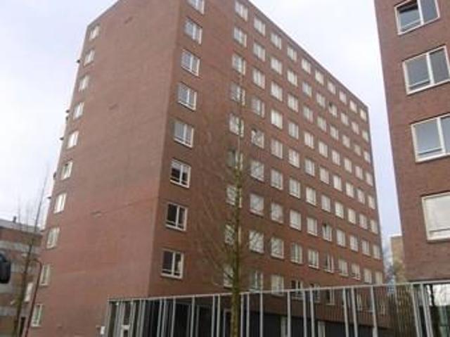 Ruim 4 kamer appartement te huur aan het