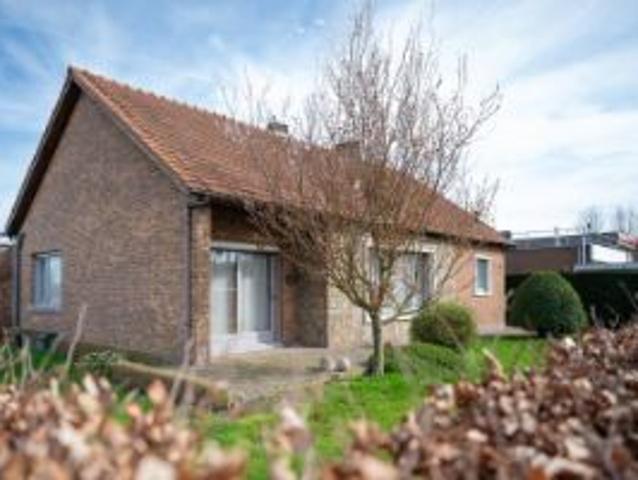 Ruime woning met grote tuin