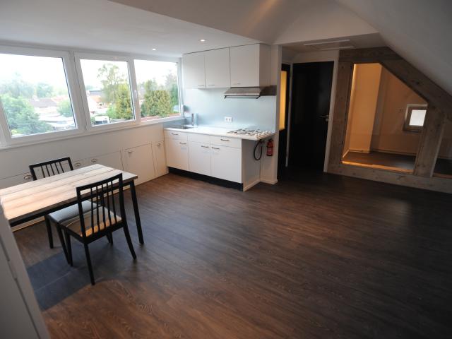 Ruime inwoning/woonruimte in Uden met dakterras