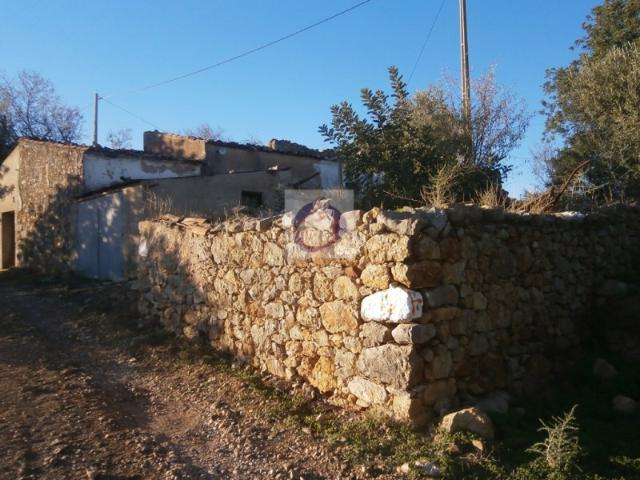 Ruina