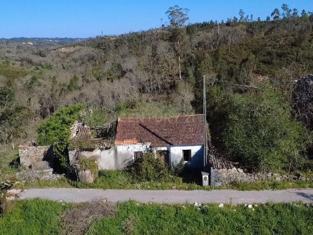 Ruína com Poço e Terreno de 4.500m² com Nogueiras – Vista Desafogada em Santiago da Guarda