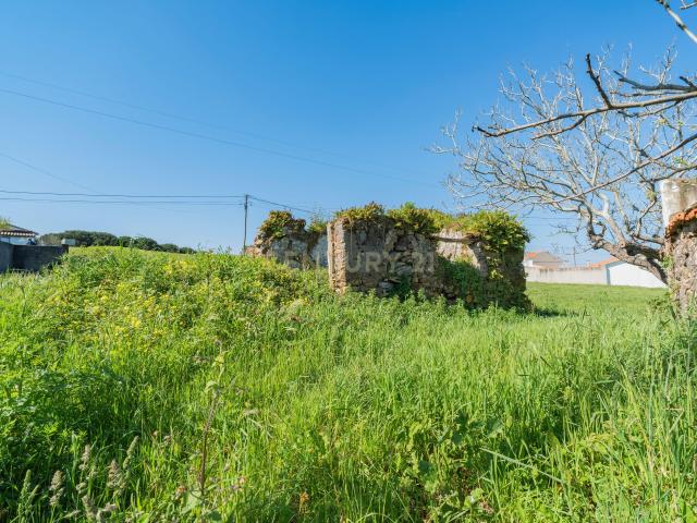Ruína com Terreno Urbano em Vestiaria Alcobaça