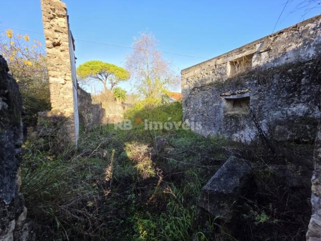 Ruina com terreno no Outeiro Grande, Torres Novas