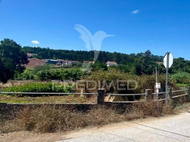 Ruina com Terreno Rio Maior Abuxanas