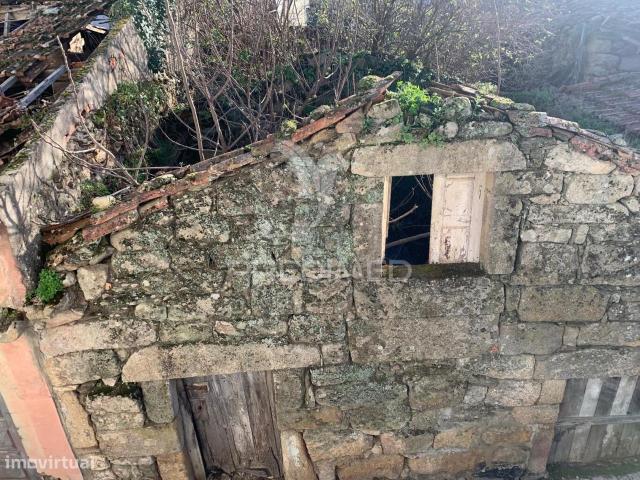 RUINA Douro Vinhateiro Alij