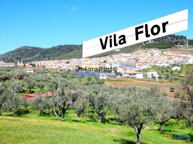Ruína e terreno para construção de edifício de R/chão e 3 pisos, TURISMO. Portugal, VILA FLOR. | 26074062405