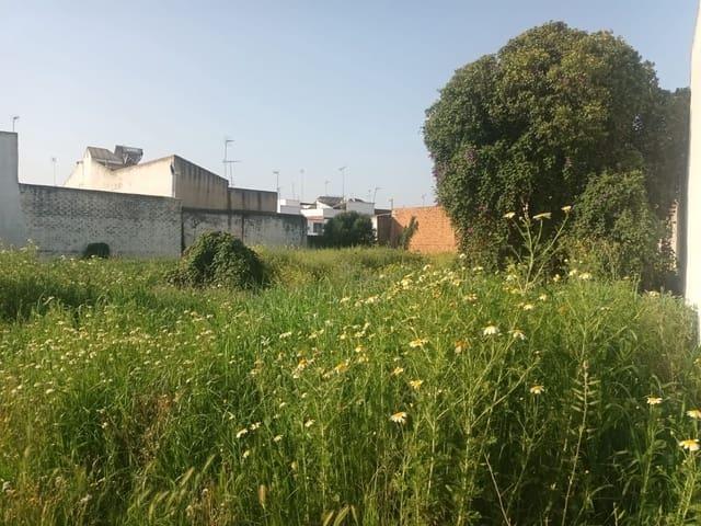 Ruina en venta en Almonte, Huelva