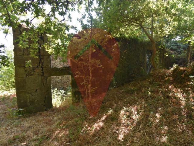 RUINA » GONDAR, CANDEMIL