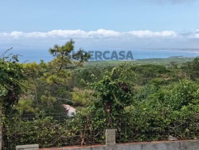 Ruína inserida em Terreno com 230m2