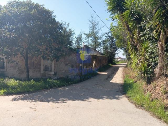 Ruina na Quinta do Bravo