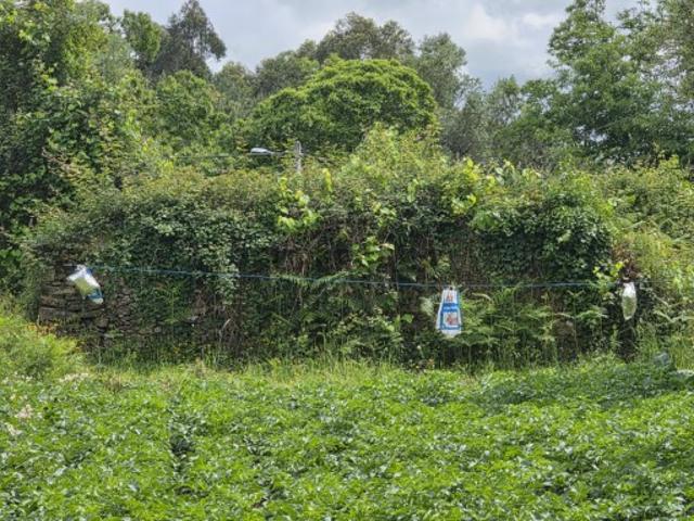 Ruína para venda situada em Fornelos Ponte de Lima