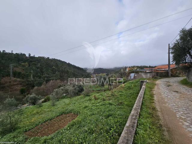 Ruina perto praia fluvial troviscal