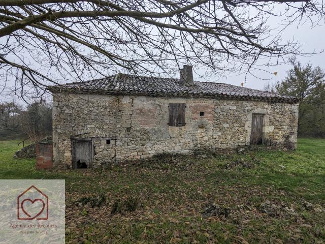 Ruine en pierre Montaigu de quercy 3 pièce s 77 m2
