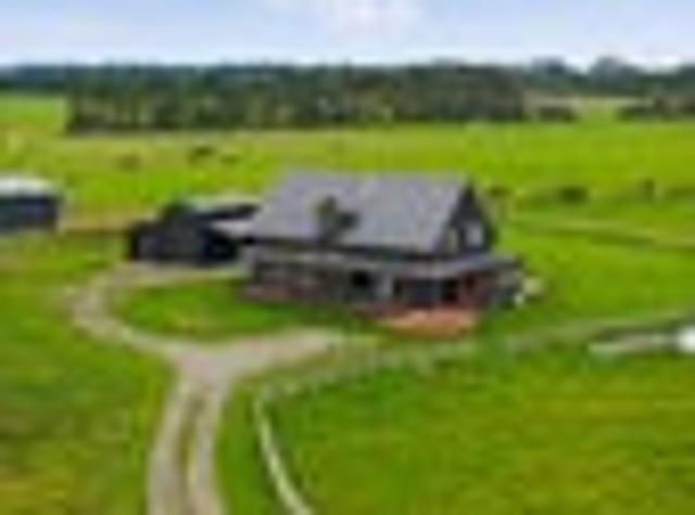 Rural Bliss in South Wairarapa
