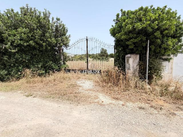 Rural com Potencial em Olhão, Olhão, Moncarapacho