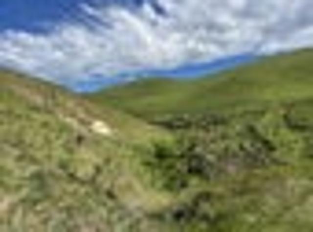 Rural Lifestyle Opportunity with Exceptional Views