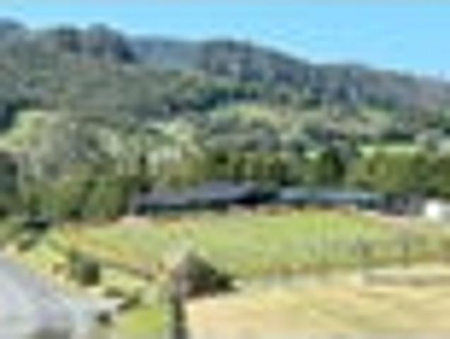 RURAL LIFESTYLE SECTION WITH VINES & OLIVES