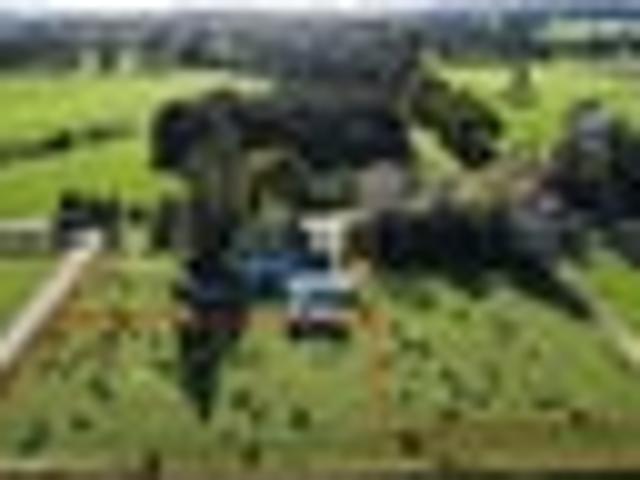RURAL LIFESTYLE SECTIONS