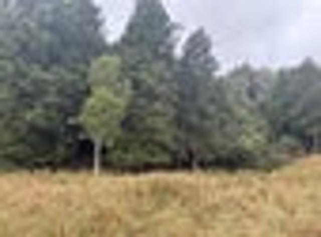 Rural lifestyle sections, close to town