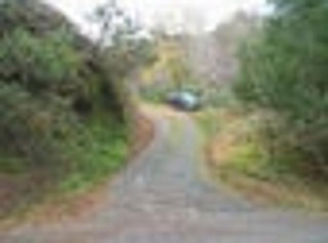 Rural Lifestyle Property