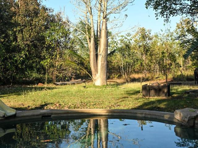 Rural Oasis. with all the amenities you need