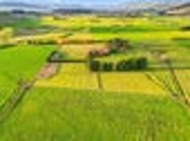 RURAL RESERVATION