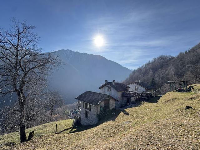 Rustic house with 2.5 rooms on sale in Loco 43 m² | dreamo. Ch