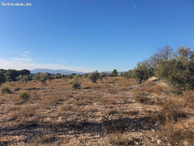 Rustica de 18.832m2 cerca de Villena