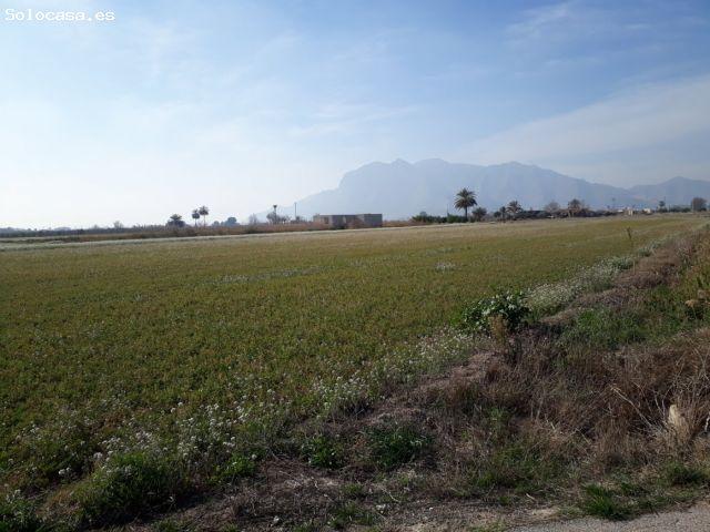 RUSTICA EN GRANJA DE ROCAMORA