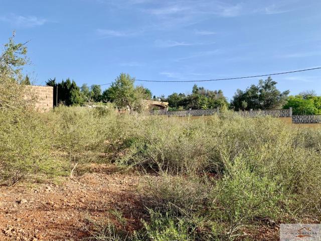RÚSTICA EN VENTA. URBANIZABLE. SAN JORDI. PALMA DE MALLORCA