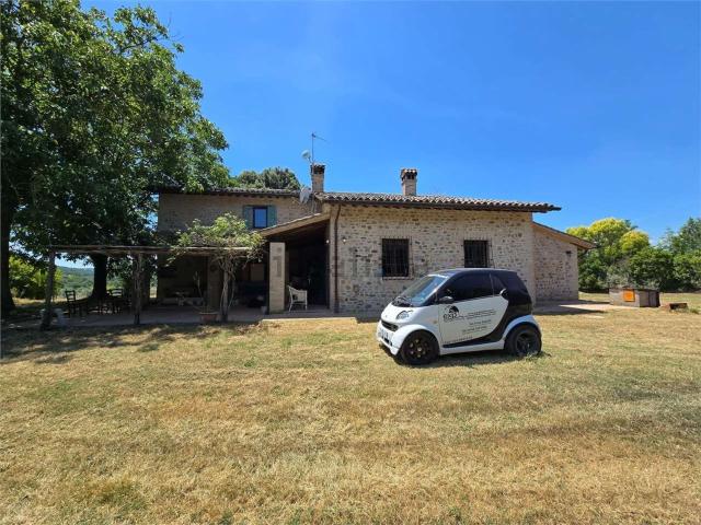 Rustici e casali in affitto di 200 m²