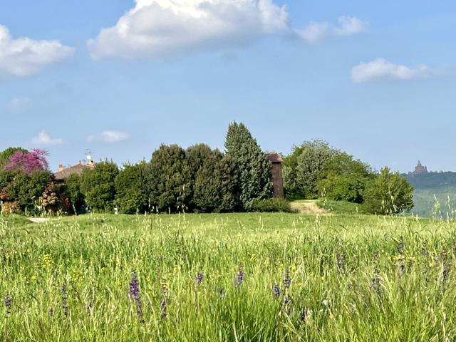 Rustici e casali in affitto di 310 m² in Via Antonio Marescalchi, 4