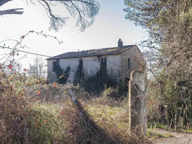 Rustici e casali in vendita di 1050 m²