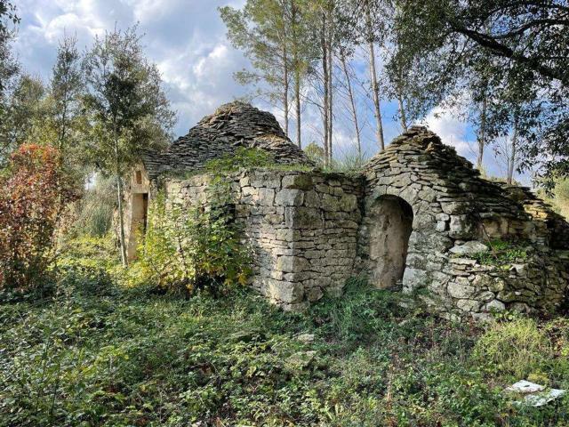 Rustici e casali in vendita di 10000 m²
