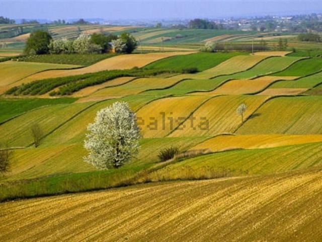 Rustici e casali in vendita di 1000 m² in Strada Provinciale Litoranea