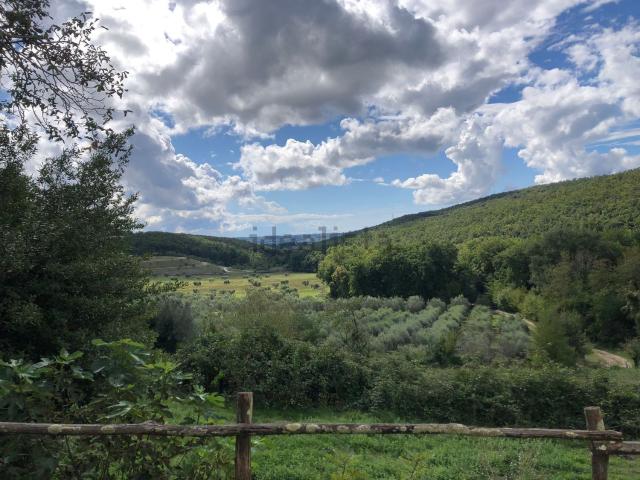 Rustici e casali in vendita di 1000 m² in Via XXV Aprile